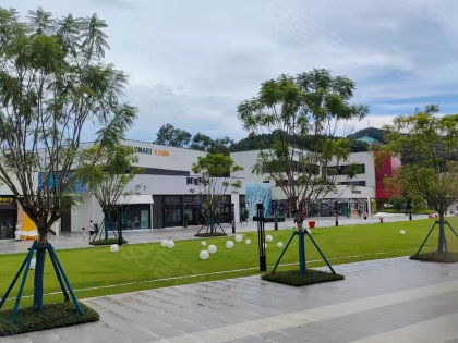 省紡織廠宿舍居住體驗全解析 優勢、不足、物管與周邊中介評價